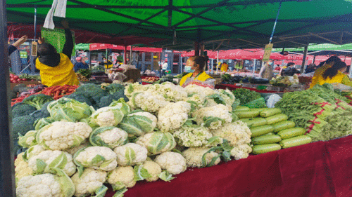 開(kāi)市啦！日用百貨市場(chǎng)繁榮景象
